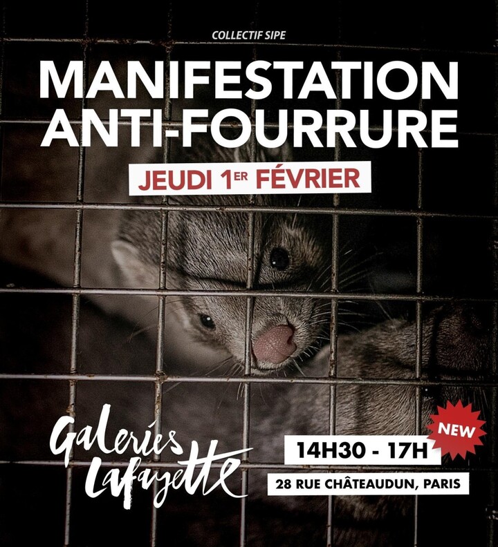 Manifestation contre la fourrure, à Paris