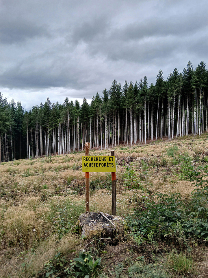 «<small class="fine d-inline"> </small>La forêt, ce bien commun<small class="fine d-inline"> </small>», forum à Paris