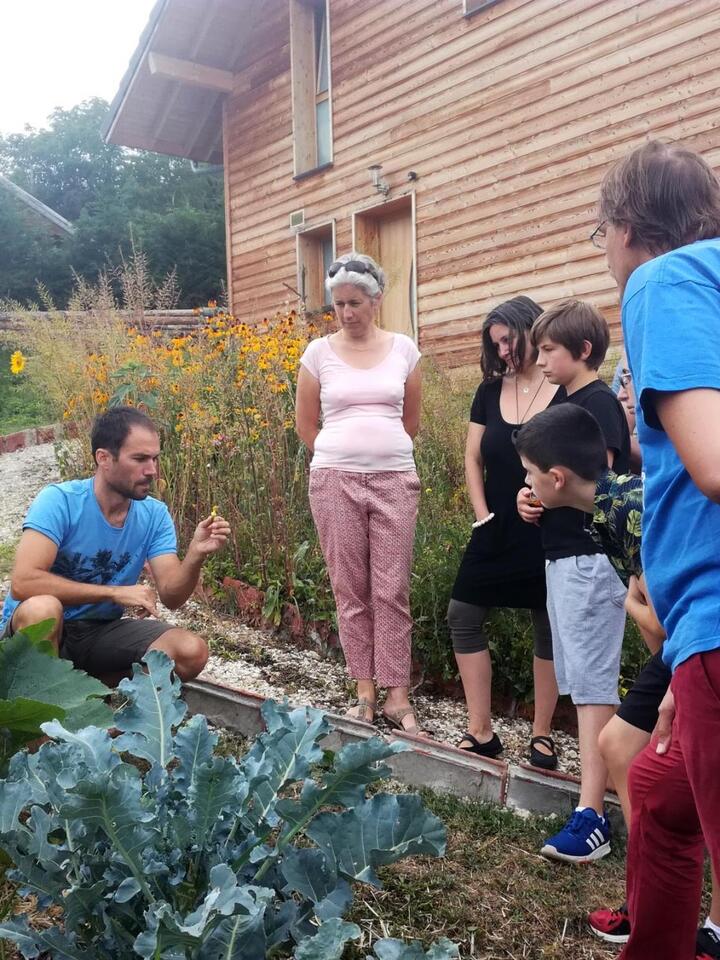 Visite commentée du jardin potager en permaculture «<small class="fine d-inline"> </small>Au refuge des graines<small class="fine d-inline"> </small>», à Bellecombe-en-Bauges (Savoie)